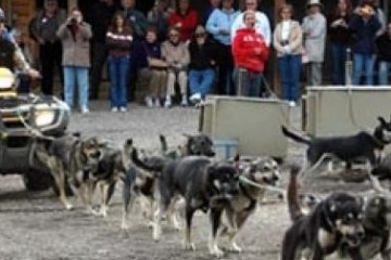 Husky Homestead Tour